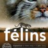 Une image contenant texte, mammifère, chat, intérieur Description générée automatiquement