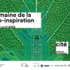 Une image contenant carte Description générée automatiquement
