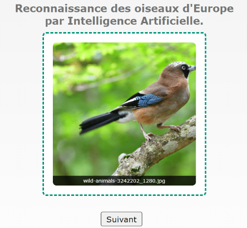 Oiseaux artificiel -  France