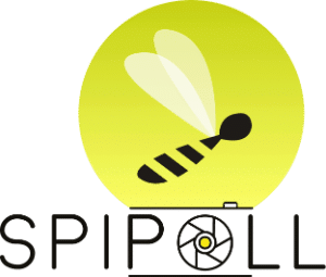 Suivi Photographique des Insectes POLLinisateurs (SPIPOLL), observatoire en biodiversité – portail OPEN