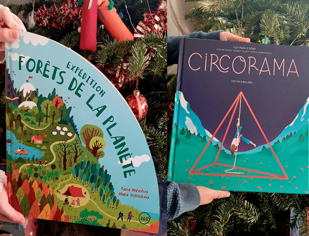 Rubrique littéraire : En attendant Noël