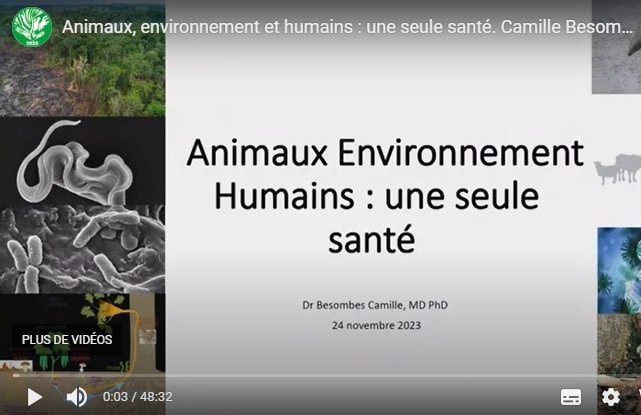 SVT : 2 conférences des journées de l&rsquo;APBG en ligne