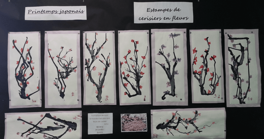 Les cerisiers japonais