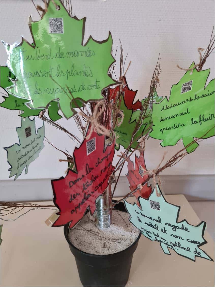 Une image contenant pot de fleurs, plante d’intérieur, plante, origami

Description générée automatiquement