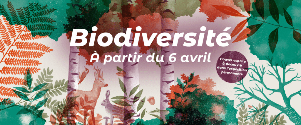 Un espace consacré à la Biodiversité au Muséum de Toulouse