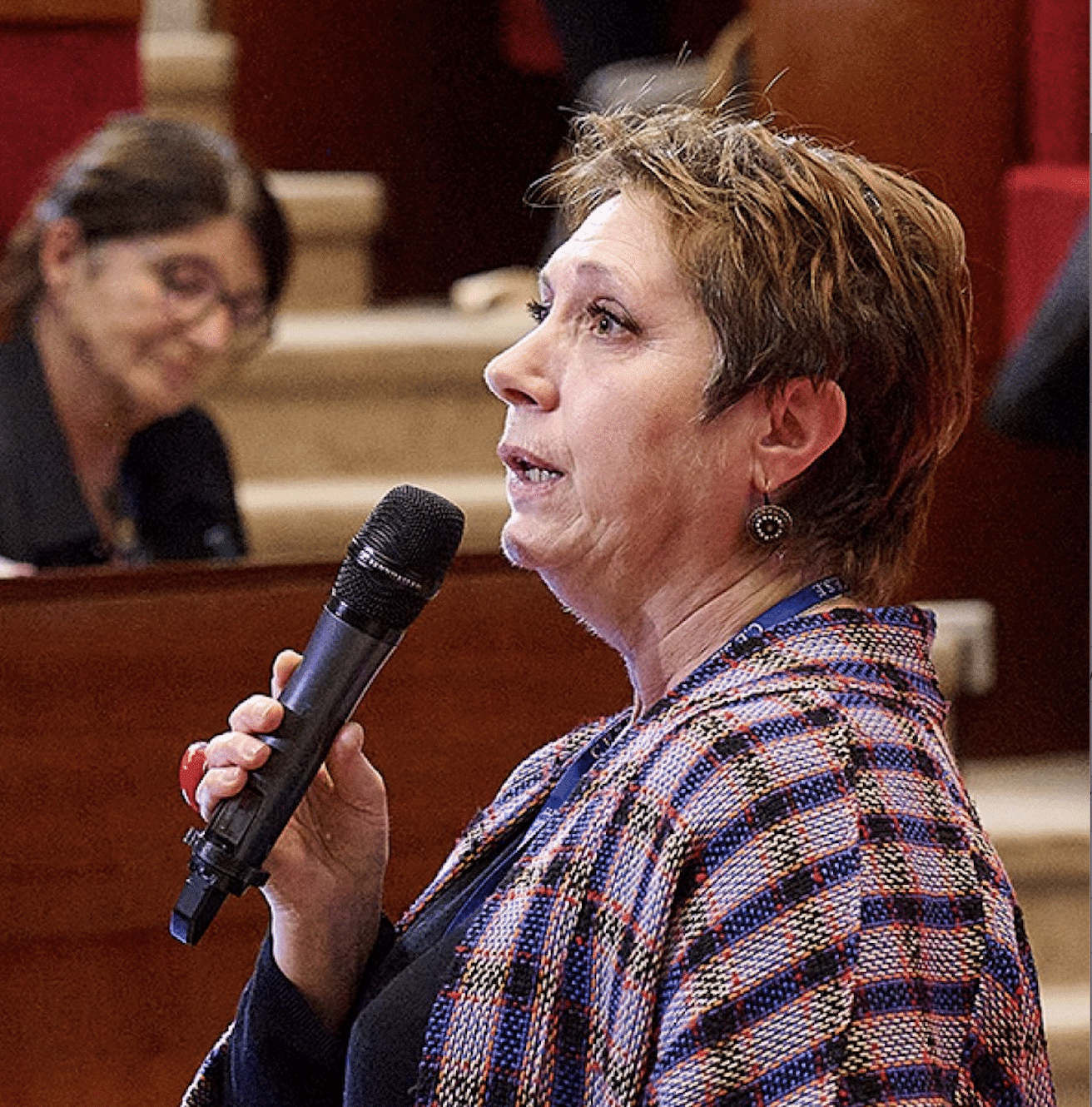 Réussite à l’École, Réussite de l’École : l’avis du CESE