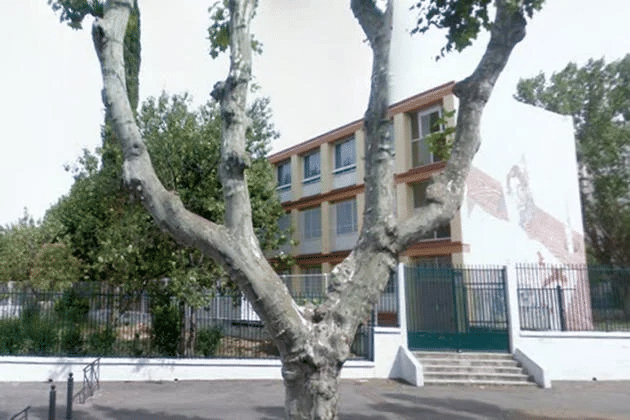 Tirs sur le collège : « je ne reconnais pas l&rsquo;imminence du danger » note le DASEN