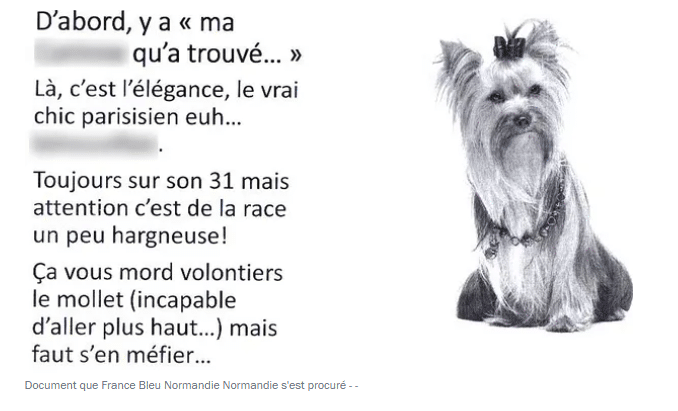 Bestiaire des IEN : le DAASEN sera jugé
