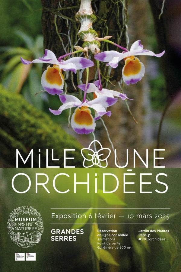 Les orchidées livrent leurs secrets au Jardin des Plantes de Paris
