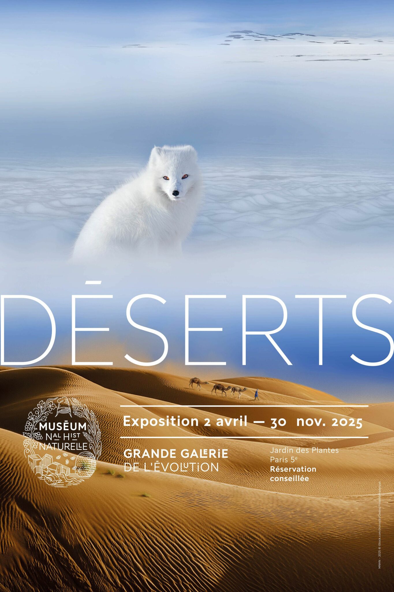 Qu’est-ce qu’un désert ?