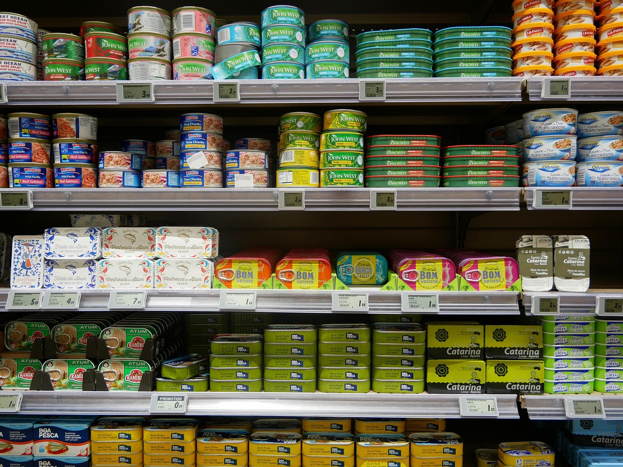 Cantine : ces villes bannissent le thon à cause du mercure