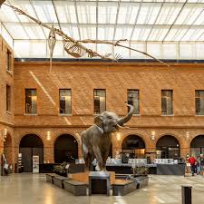 Un week-end scientifique et festif à Toulouse