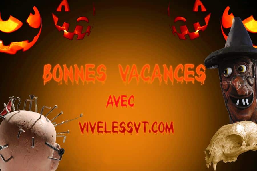 SVT: quelle biodiversité pour Halloween ?