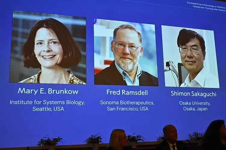 SVT : l&rsquo;immunité au prix Nobel de médecine
