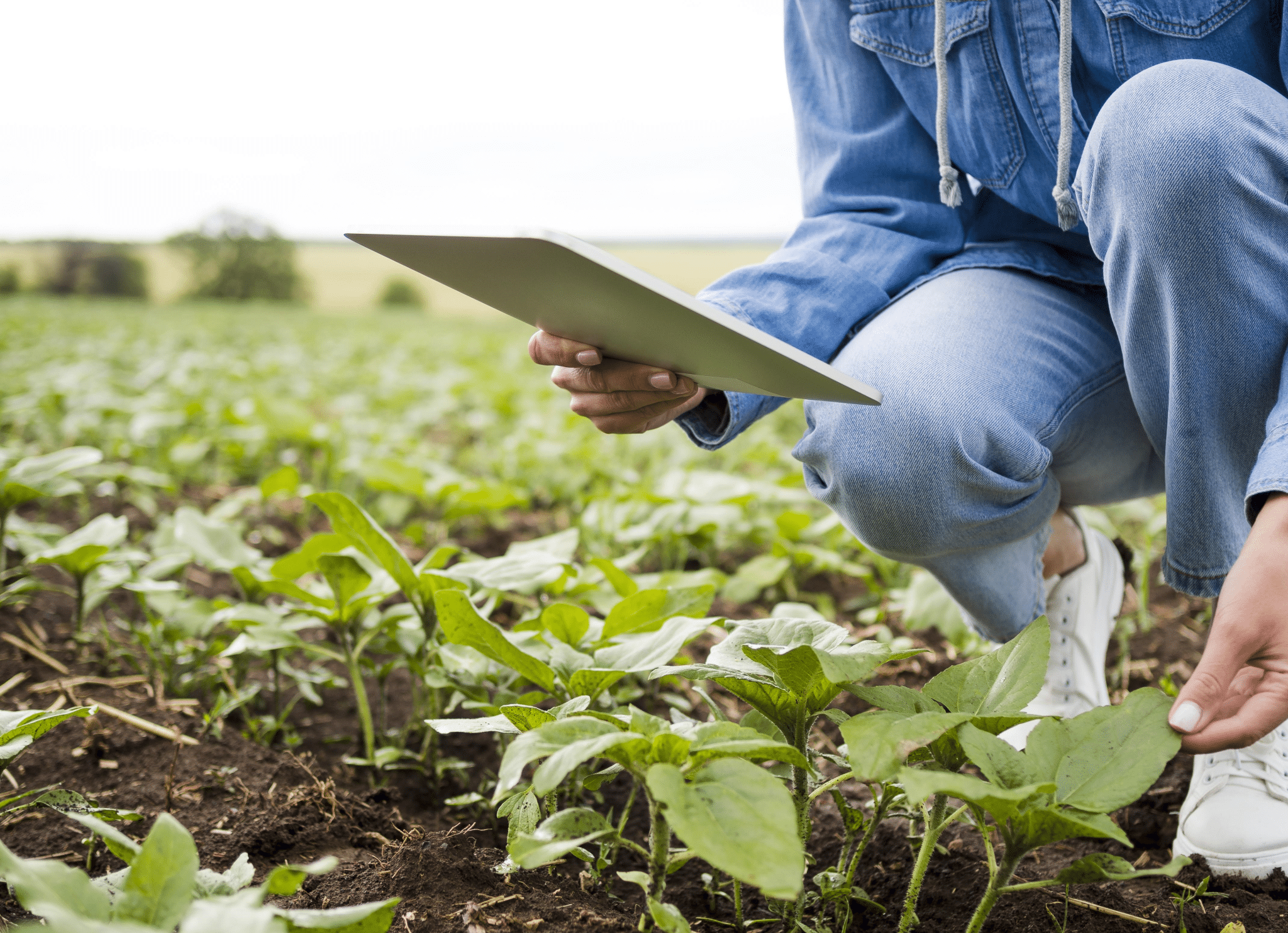 Un enseignement agricole public fragilisé : les parlementaires interpellés