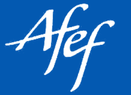 Enseigner le français à l’ère de l’Intelligence Artificielle ?