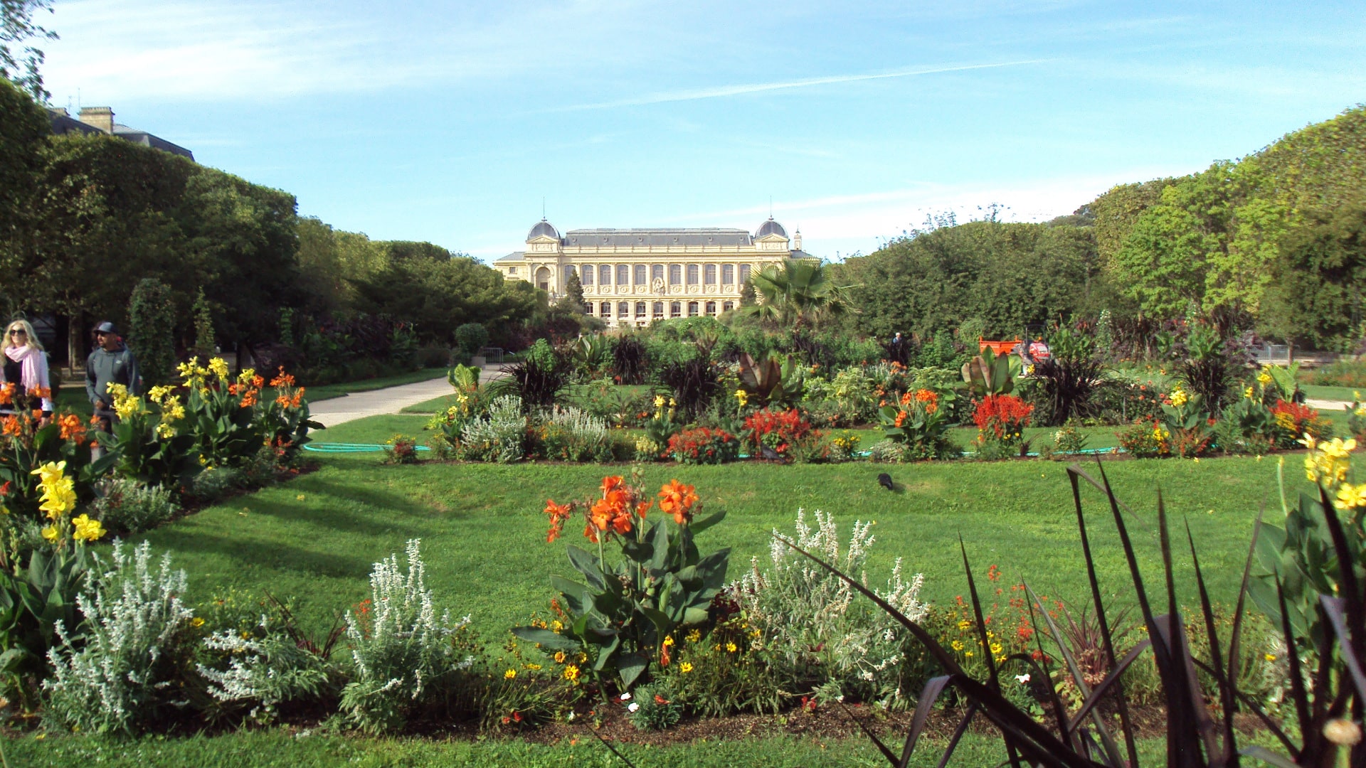 Biodiversité, un nouveau dossier enseignant du MNHN