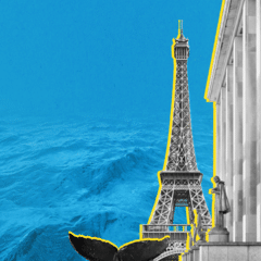 Un week-end festif au musée de la Marine de Paris