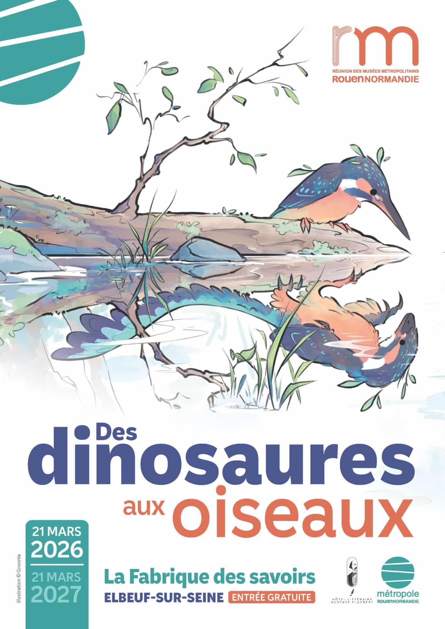 D’où viennent les oiseaux ?
