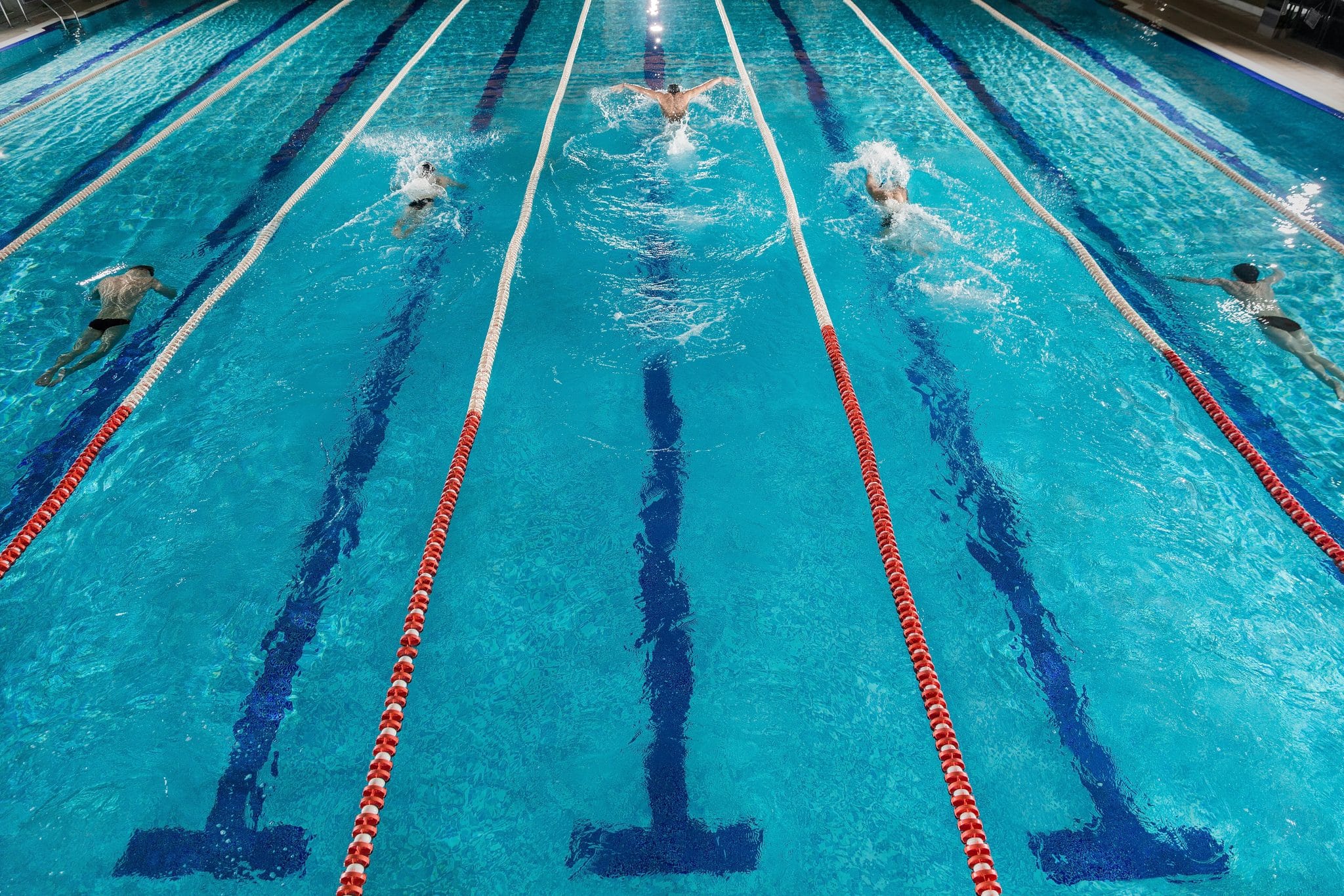 EPS : faut-il repenser la natation de vitesse ?