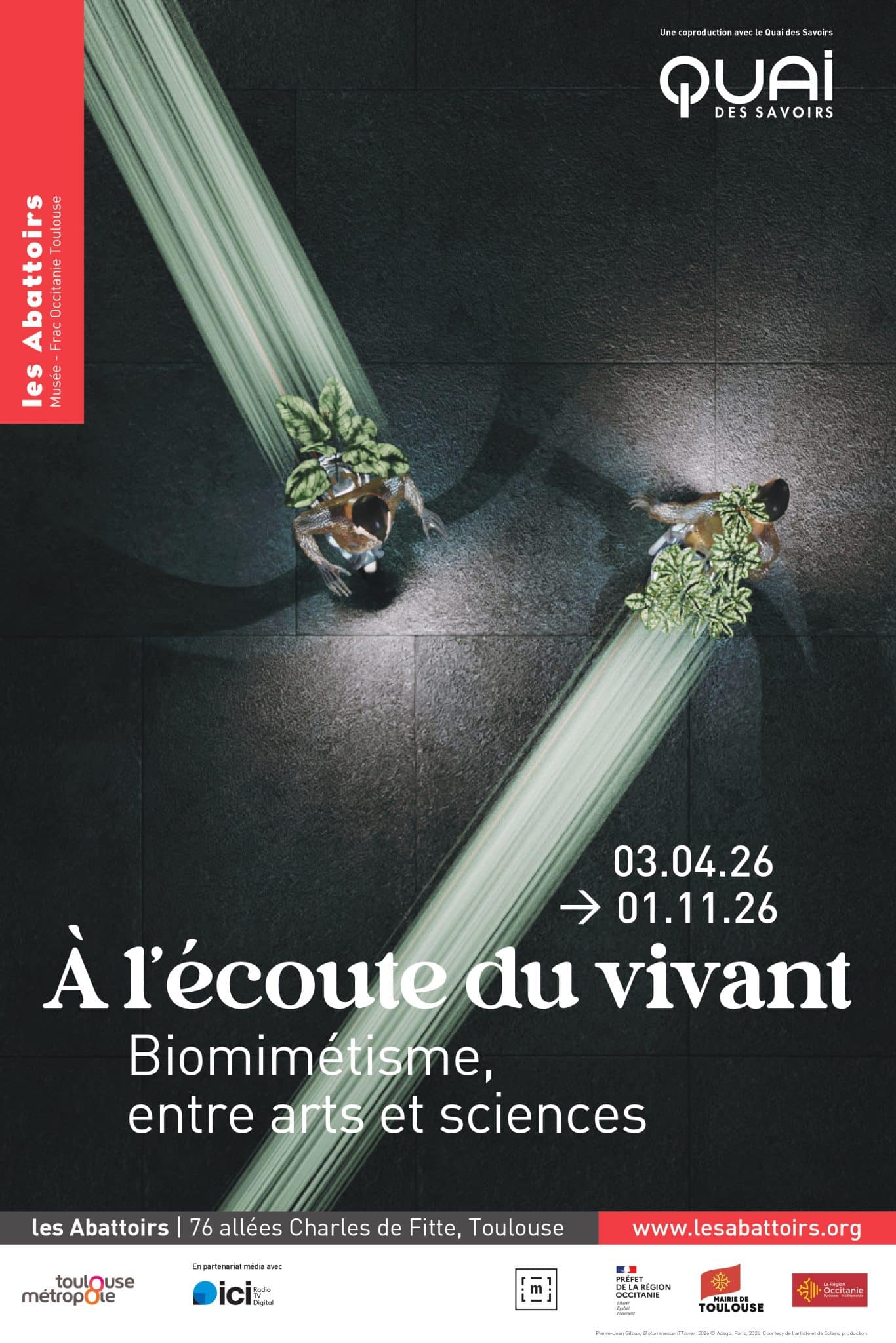 A la découverte du biomimétisme, à Toulouse