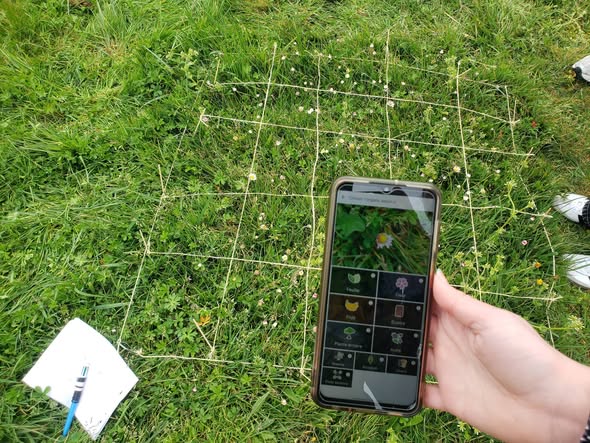 SVT : tout savoir sur l&rsquo;appli PlantNet