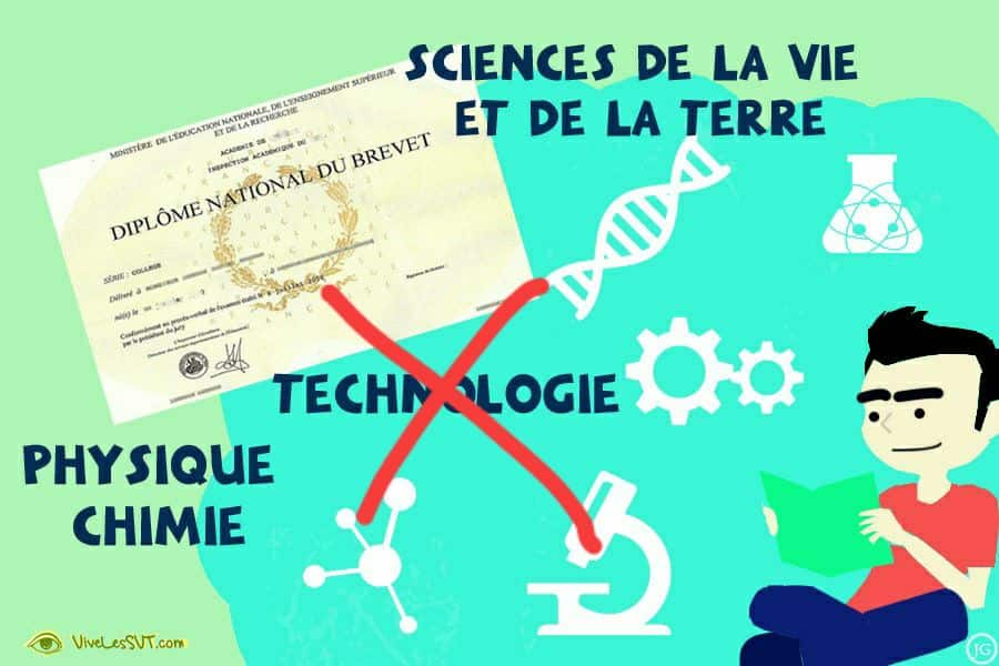 DNB 2026 : SVT et physique-chimie une nouvelle fois aux épreuves écrites