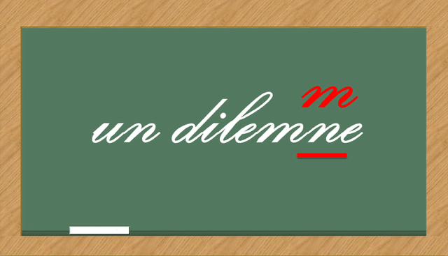 Examens 2026 : fautes d’orthographe ou de gouvernance ?