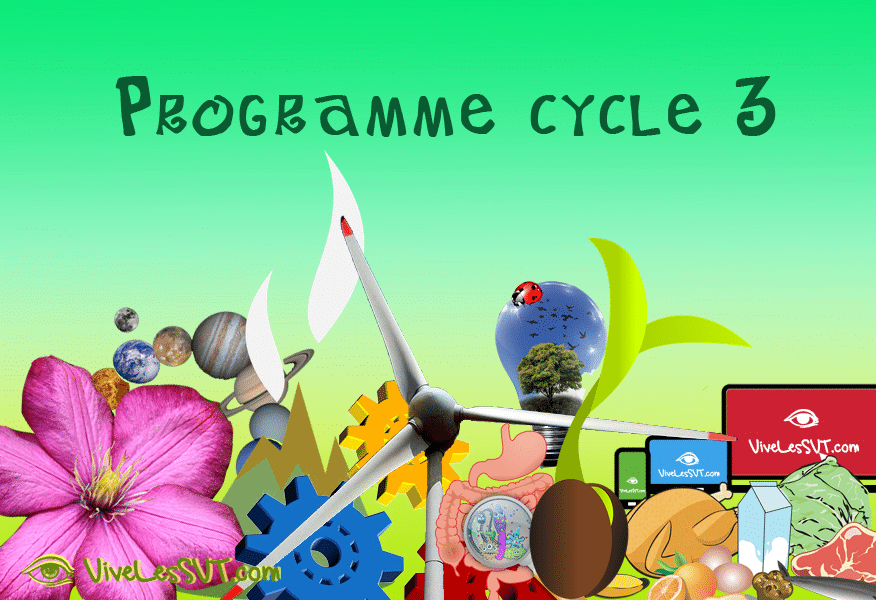 Sciences et technologie au cycle 3 : quoi de neuf en CM1, CM2 et 6e ?