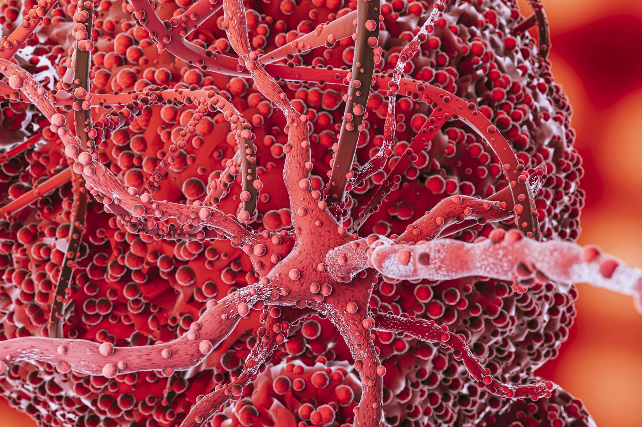 Exosome, gliotransmetteur et microtrame