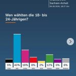 Sélection, classes séparées, patriotisme : l’école que veut construire l’AfD