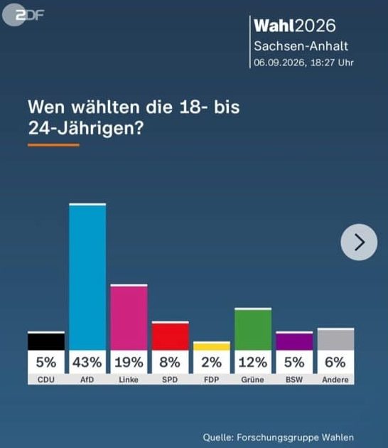 Sélection, classes séparées, patriotisme : l’école que veut construire l’AfD