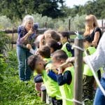 Enseignants : pour vos sorties scolaires, découvrez nos fermes pédagogiques !