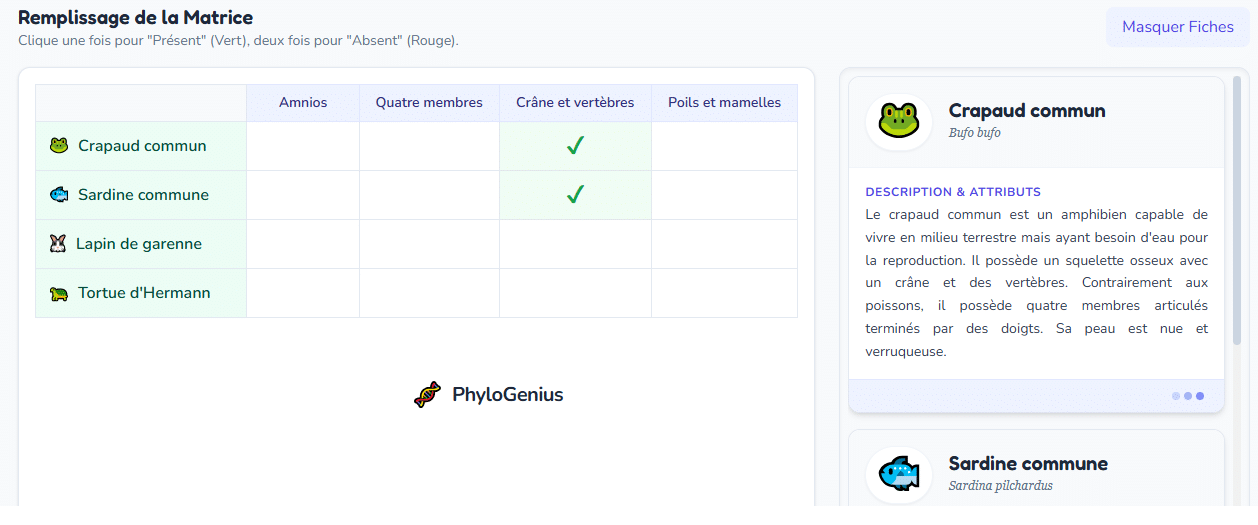 SVT : Phylogenius pour travailler la classification du vivant
